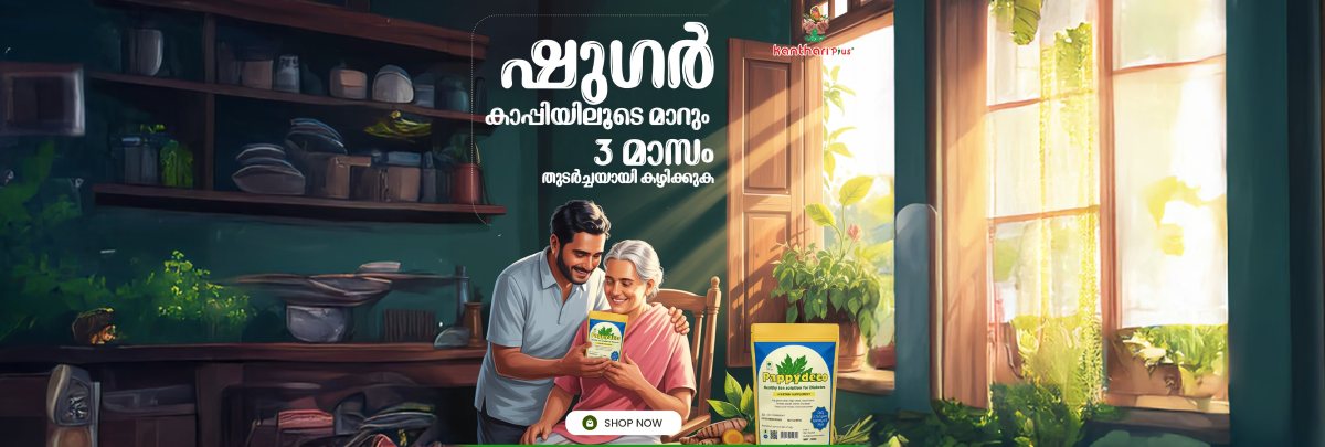 kanthari_plus_slider-2